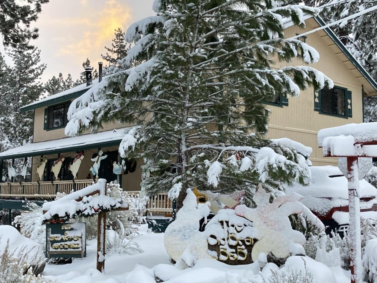 The Old Bear Bnb Pine Mountain Club Eksteriør bilde